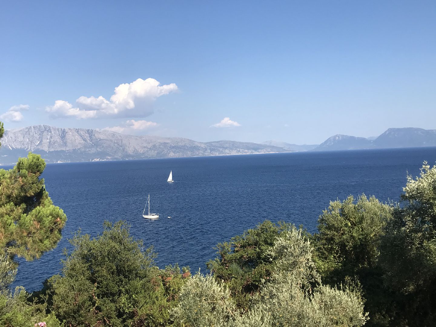 Sun Sea Sailing l sailing the Ionian day trip