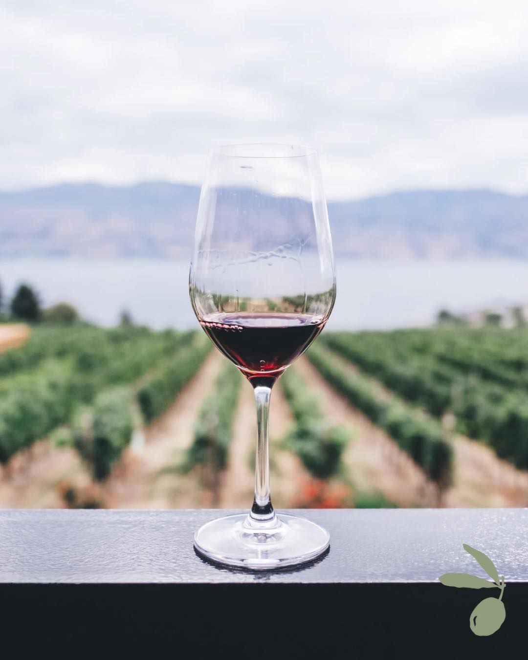 🍷 Wine Discovery Tour