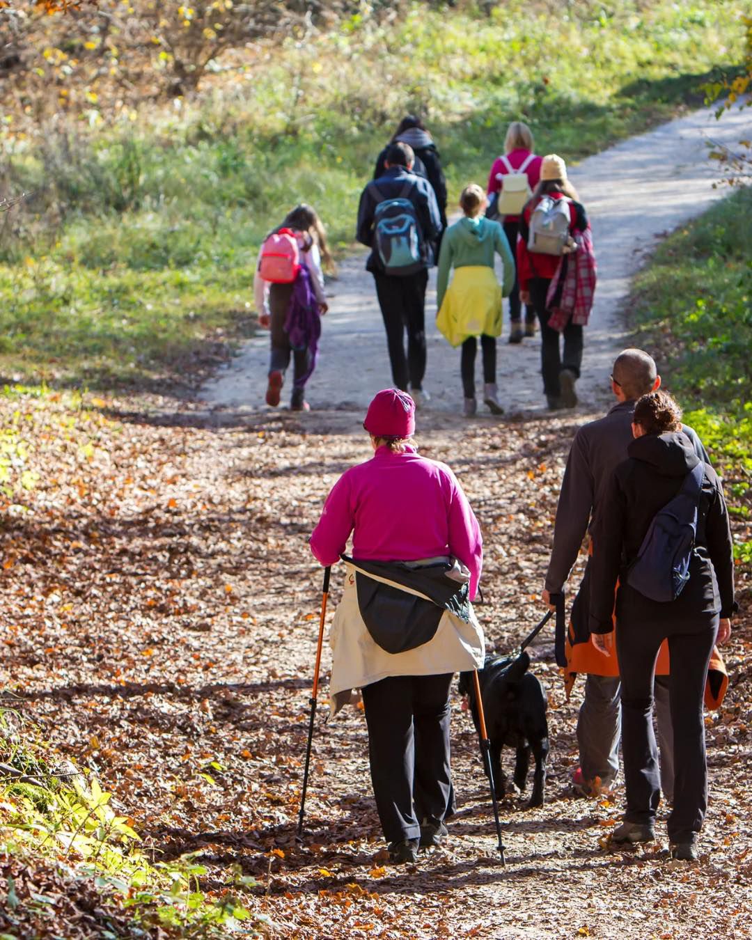 Hike & Discover 🌿💧