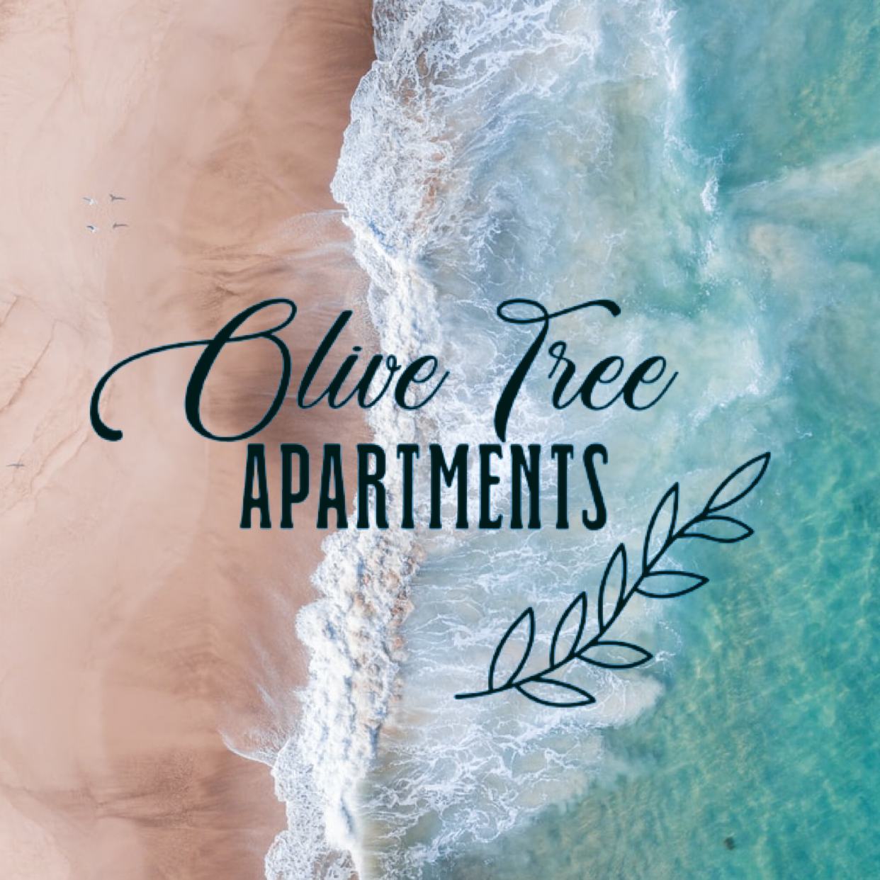 Olive Tree Apartments