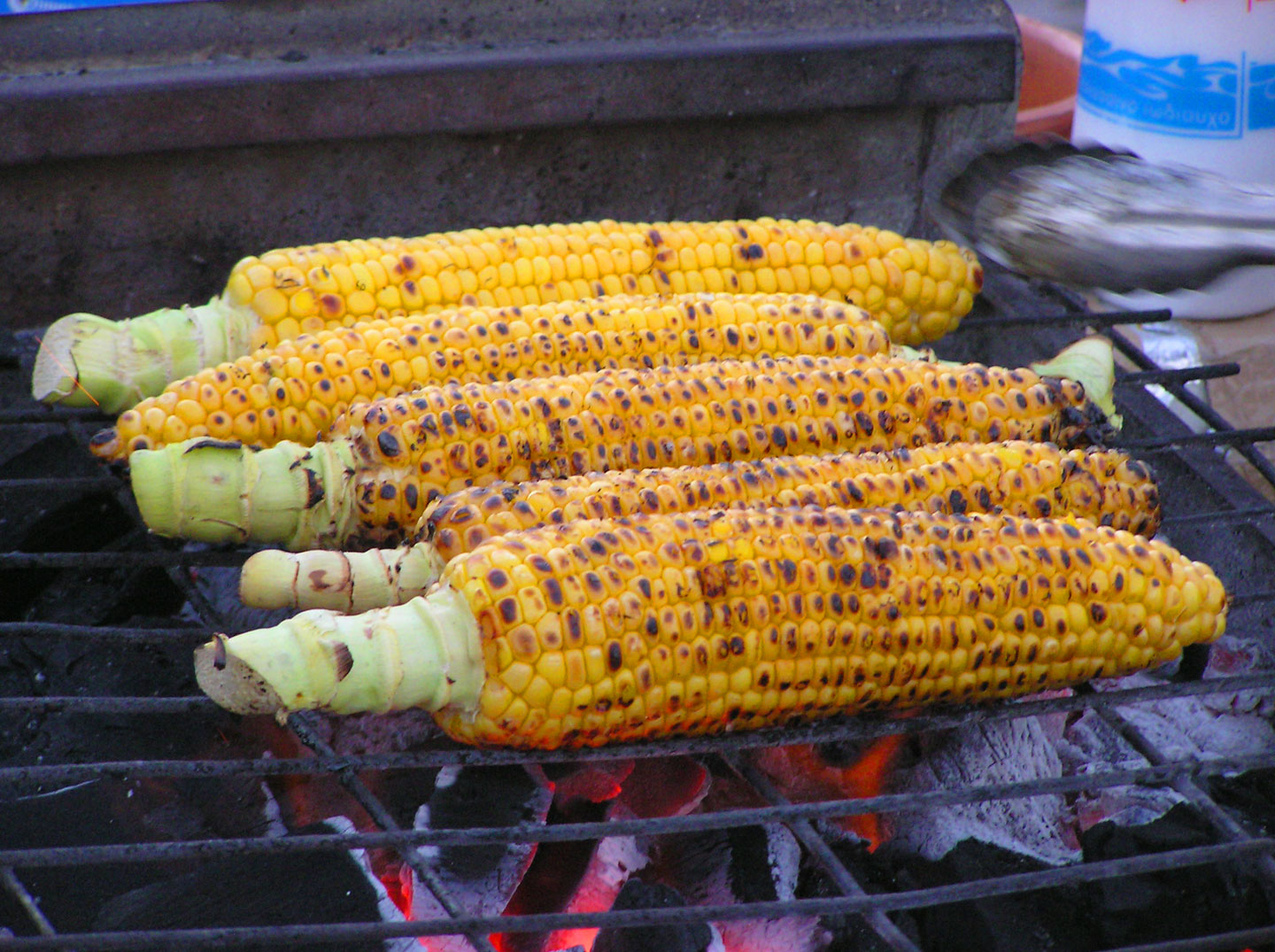 Roasted corn | Lefkada Slow Guide