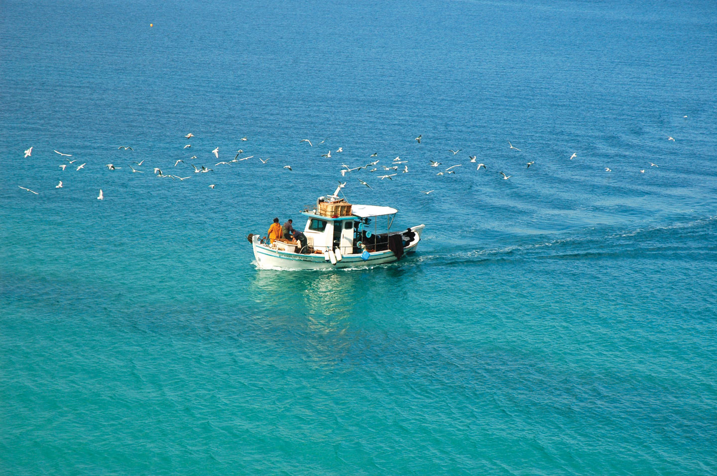 Small fish boat in the sea | Lefkada Slow Guide
