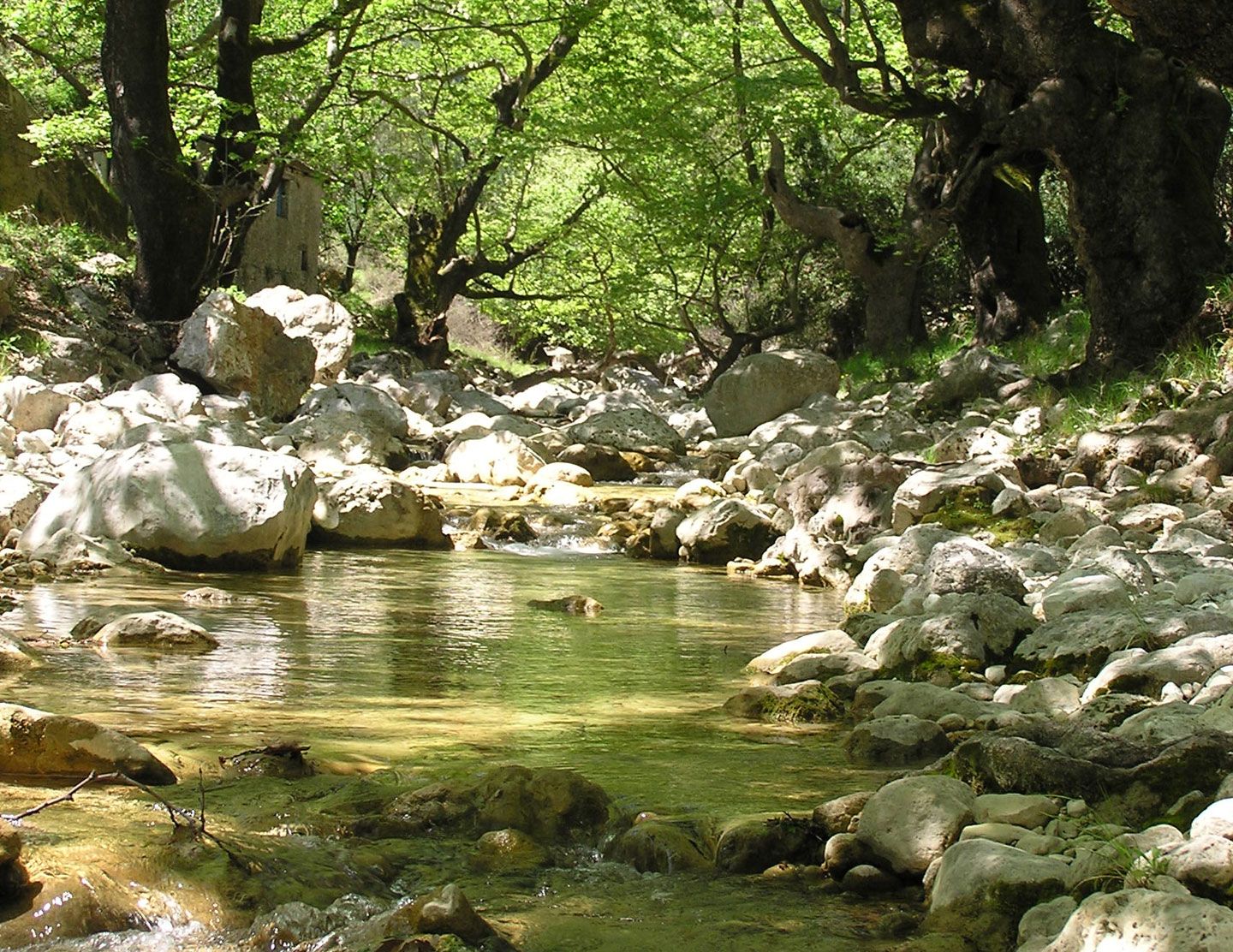 Hidden waterfalls in Nydri, waiting to be discovered | Lefkada Slow Guide 