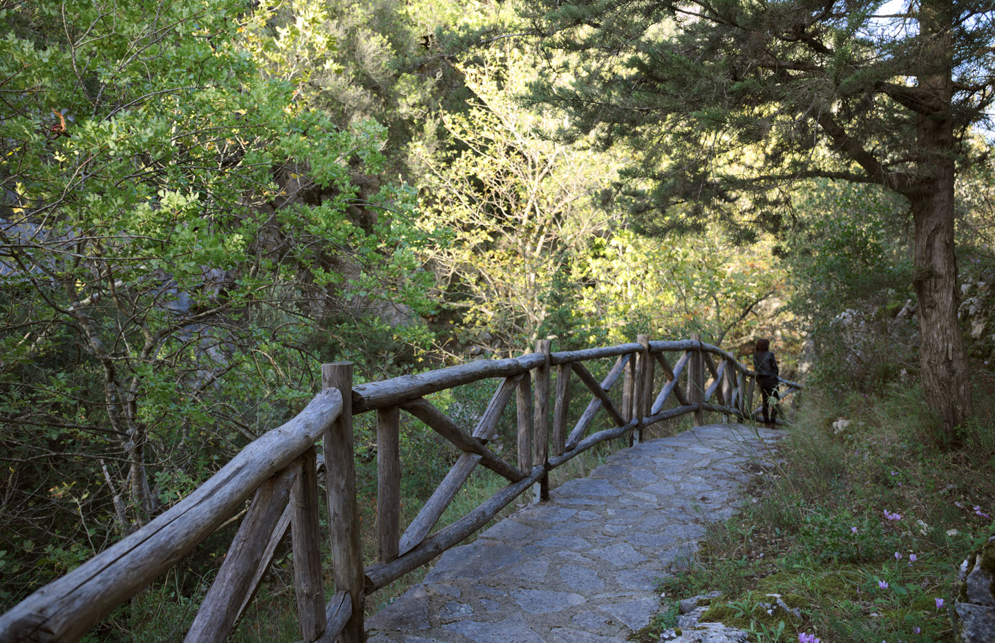 Melissa Gorge in the area of Sfakiotes | Discover Lefkada | Lefkada Slow Guide