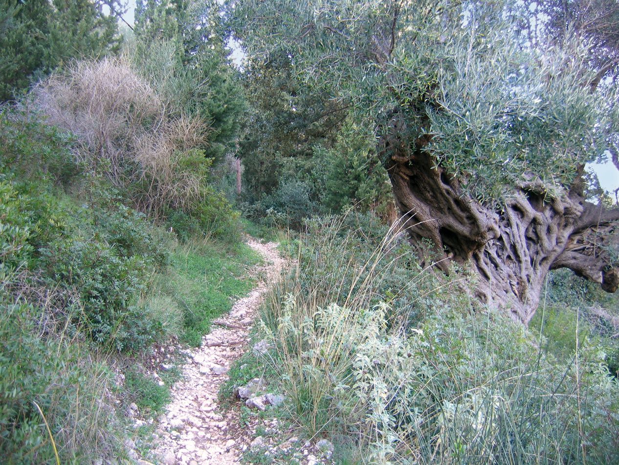 The footpath to Mylos beach | Lefkada Slow Guide